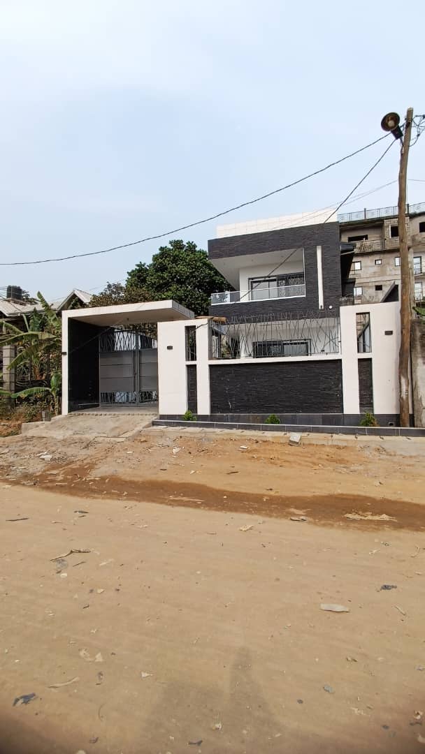 Menuiserie & Finitions — Villa M. William, Logbessou